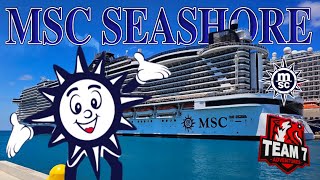 MSC Seashore 414  42124 [upl. by Remot307]