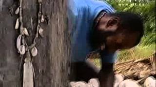 Expeditie robinson 2000 Aflevering 8 part 33 [upl. by Hsima]