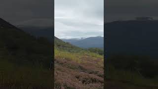 In the Majestic Cairngorm Mountains [upl. by Eldoria653]