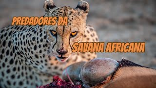 A Caçada na Savana Predadores e Presas em Açãomini documentário [upl. by Korns]