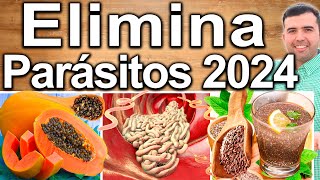 CÓMO DESPARACITARSE 2024  Jugos Y Alimentos Para Eliminar Los Parásitos Y Helicobacter Pylori [upl. by Raknahs908]