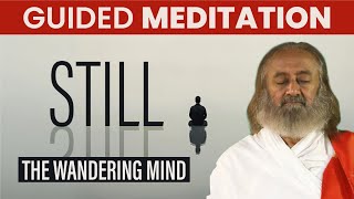 Stillness Through Movement  Guided Meditation  Gurudev [upl. by Wiltsey55]