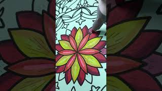 PAINTING VIDEO l COLOURING l FLOWER COLOURING l PAINTING FOR RELAXATION l MANDALA DRAWING TO COLOUR [upl. by Mureil909]