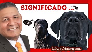 🔴 QUE SIGNIFICA SONAR CON PERROS  SONAR CON PERRO NEGRO  PASTOR PEDRO CARRILLO  LAREDCRISTIANA [upl. by Ahseiyn152]