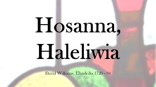 Hosanna Haleliwia  Carolaur Nadolig [upl. by Ennayelhsa539]