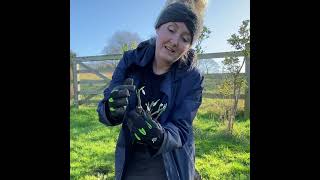 Planting Snowdrops intheGreen with Becky [upl. by Odlareg85]