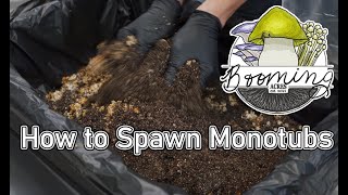 Spawning a Large Sized Monotub [upl. by Elag]