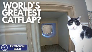 IS THIS THE WORLDS GREATEST CATFLAP  Building an Extension 12  Build with AampE [upl. by Nannahs]