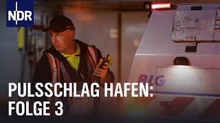 Hafentaucher und Hackbraten E03  Pulsschlag Hafen  NDR Doku [upl. by Lednek]