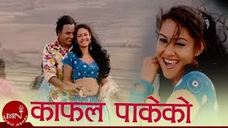 Nepali Lok Geet  Kafal Pakeko  Bimal Raj Chhetri amp Devi Gharti  Shankar BC  Samjhana Budhathoki [upl. by Farrah]