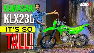 New Kawasaki KLX 230 First Look  Road Legal Dirt Bike Coming To India  2024  autoX [upl. by Nagaet]