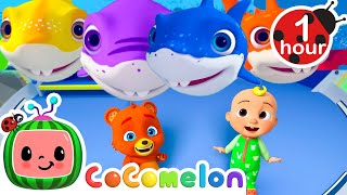 Count all the Baby Sharks  CoComelon Animal Time  Learning with Animals  Nursery Rhymes for Kids [upl. by Repooc]