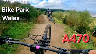 BIKE PARK WALES  A470 Line  Root Manoeuvres [upl. by Winifred]