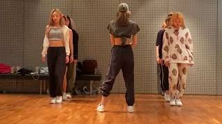 MIRRORED amp ZOOMED DANCE PRACTICE LISA BLACKPINK  SENORITA DANCE PRACTICE [upl. by Odlanar]