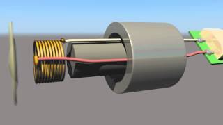 MUS 493  Dynamic Microphone  Exploded View [upl. by Lenka281]