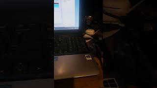 Cloning 2TB SSD to a 4TB SSD on a Compaq Presario CQ61 [upl. by Patsis]