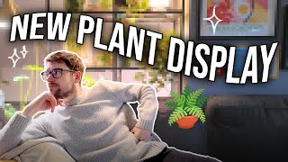 Building amp Styling a New Beautiful IKEA Plant Display 🌿 [upl. by Berky]