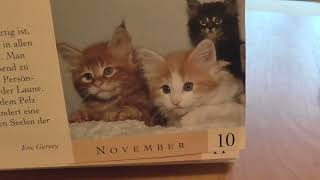 Das ist der beste Katzenkalender [upl. by Burner78]