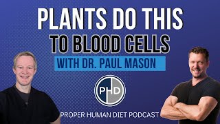 Plants do THIS to Blood Cells  Interview with Dr Paul Mason [upl. by Aryan]