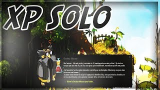 Dofus l Quête du Docteur Morose XP SOLO abusé [upl. by Allianora]