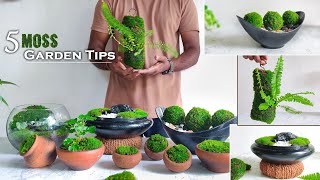 5 Easy Tips amp Ideas for Creating Moss Garden  Guide to Growing Moss GardenGREEN PLANTS [upl. by Damicke]