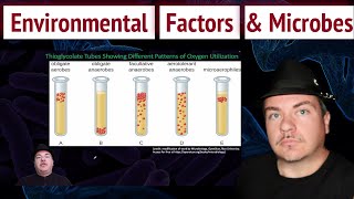 Environmental Factors That Influence Microbes [upl. by Ettereve]