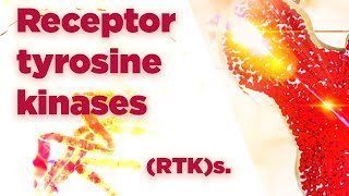 Receptor tyrosine kinases  RTKs  Cell Signaling [upl. by Philly126]