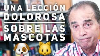 Episodio 1581 Una Lección Dolorosa Sobre Las Mascotas [upl. by Bridge]