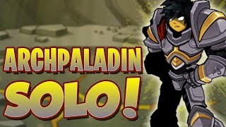 AQW  ArchPaladin Class Solo BEST Damage Reduction [upl. by Noled]