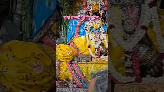 राधा वल्लभ दर्शन दुर्बल 🙏 कहते हैं राधा वल्लभ के दर्शन करने कोई आसान बात नहीं हैshortytshort 🌹😍🥰 [upl. by Iralam904]