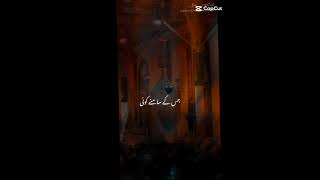 Zindagi Hussain he bandagi Hussain as he🙌🚩❤️nadeemsarwar yaali growmyaccount qiratvlogs [upl. by Weidner968]