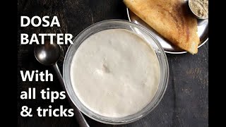 DOSA BATTER RECIPE  HOW TO MAKE DOSA BATTER  HOME with tips and tricks [upl. by Llerral]