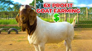 HOW TO MAKE UP TO 6 TIMES YOUR INVESTMENT AS A GOAT FARMER IN AFRICA [upl. by Llabmik]