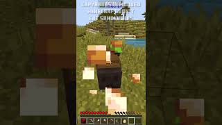 Capybaras Dont Eat Sandwiches minecraft smp capybara [upl. by Saalocin]