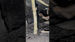 Underground Coal Mining ⛏️  Mines  Miners  Coal Workers miners coalmining mining underground [upl. by Melosa]