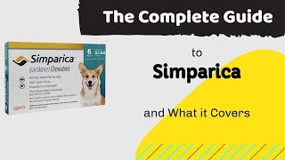 The Complete Guide to Simparica and What it Covers [upl. by Malvin527]