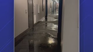 Residents say apartment management is forcing them out after massive water leak [upl. by Houlberg]