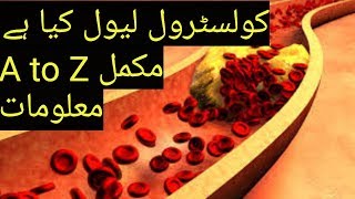 What is Cholesterol level A to Z full information in urdu hindi [upl. by Raffin]