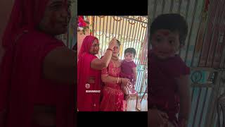 Best part of durga puja sindur khela song song ytshorts shivismammaviralreels love [upl. by Gentilis]