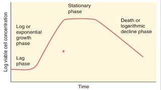 Microbial Growth and Metabolism [upl. by Araldo533]