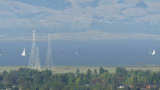 Spinnaker Sailing Class  June 5 2024  San Francisco Bay [upl. by Swirsky354]