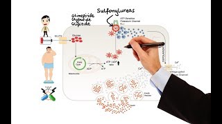 Pharmacology  DRUGS FOR DIABETES MADE EASY [upl. by Larentia802]