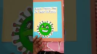 English Project  Class 11th and 12th CBSE  Topic Corona Pandemic and Fallout on Families [upl. by Ertha]