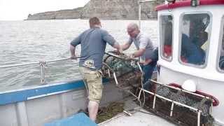 Holy Mackerel Fishing and Foraging off the Coast of North Yorkshire [upl. by Odlareg]