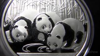 2013 Silver Chinese Panda [upl. by Jarad]