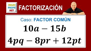 Caso 1 de factorización factor común [upl. by Nannerb]