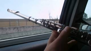 flute plays by itself [upl. by Hiram500]