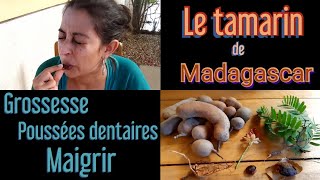 Les bienfaits du tamarin  Tamarind fruit health benefits [upl. by Trinee]