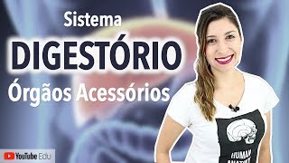 Sistema Digestório 45 Fígado Vesícula Biliar e Pâncreas  Anatomia etc [upl. by Annairb240]