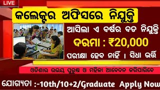 Collector Office New Recruitment 2024 Odisha  Odisha Free Job Alert 2024  Odisha Job Updates [upl. by Larred]